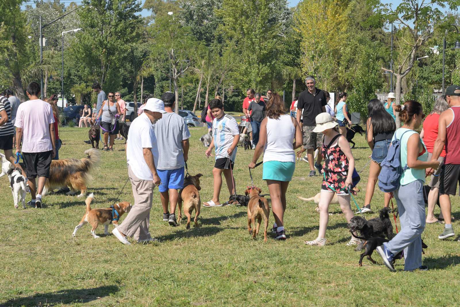 San Fernando inició un nuevo Taller Municipal de Adiestramiento de perros