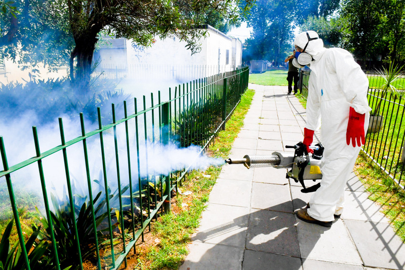 El Municipio de San Fernando continúa sin pausa la prevención del dengue