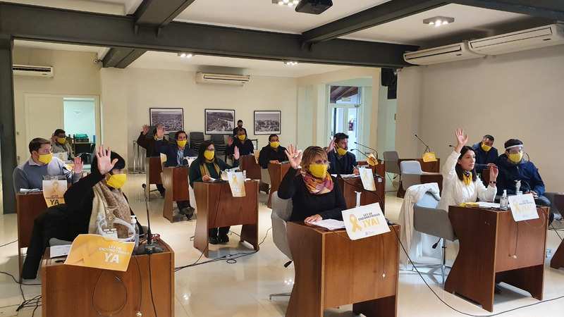 El HCD de San Fernando adhirió al reconocimiento y tratamiento de la Endometriosis