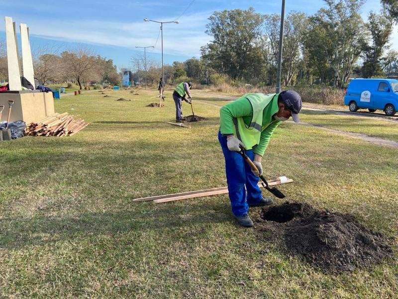 La Municipalidad continúa desarrollando el Plan de Arbolado Urbano de Escobar con la plantación de 100 árboles en el Paseo El Dorado de Ingeniero Maschwitz