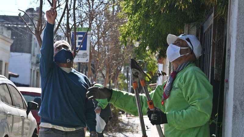 San Fernando realiza un cuidado especial de los crespones de la ciudad