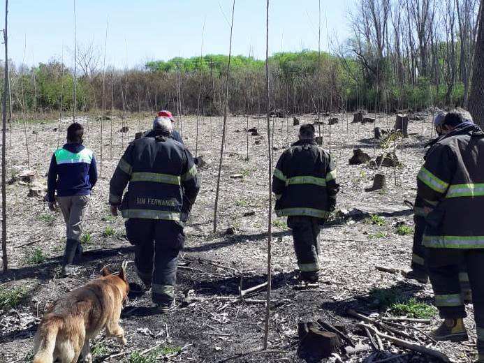 El Municipio y Bomberos extinguieron un incendio en el Delta de San Fernando