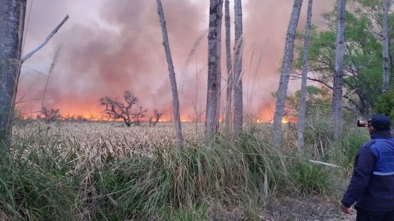 Comunicado de la Municiapalidad de Escobar sobre los incendios en el Paraná de Las Palmas 