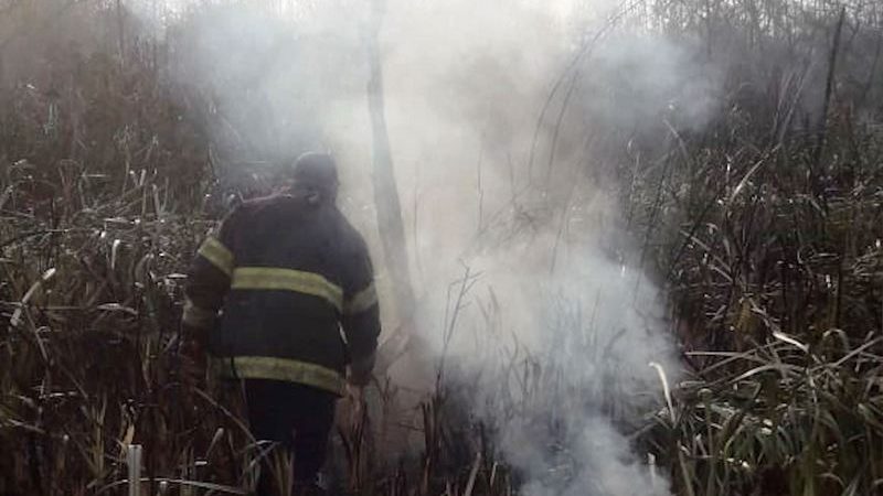 Bomberos de San Fernando extinguieron focos de incendios en el Delta