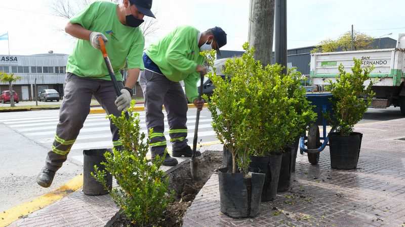 El Municipio de San Fernando plantó nuevos arbustos en la Ruta 202