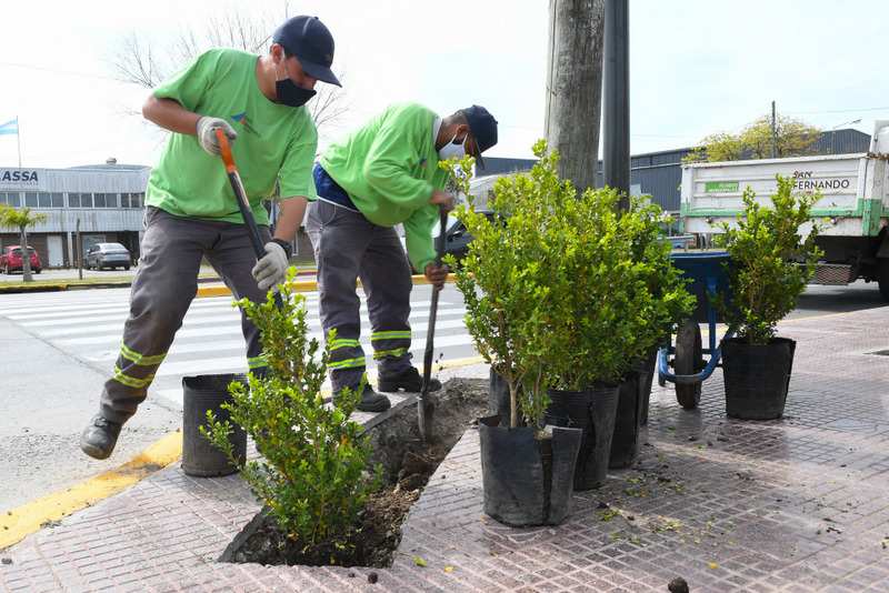 El Municipio de San Fernando plantó nuevos arbustos en la Ruta 202