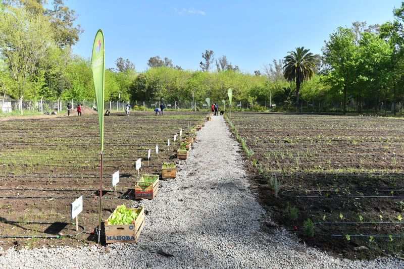 Ariel Sujarchuk recorrió la primera huerta orgánica municipal del distrito