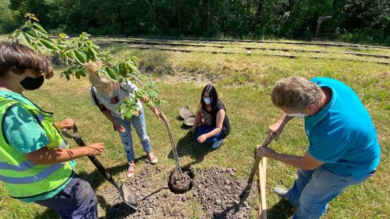 Escobar Sostenible, comenzó la semana “Plantando Conciencia” en las seis localidades