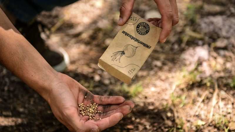 La Municipalidad de Escobar ya entregó más de 10.000 kit de semillas de verduras y hortalizas  y 90.000 semillas aromáticas a vecinos y vecinas del distrito 