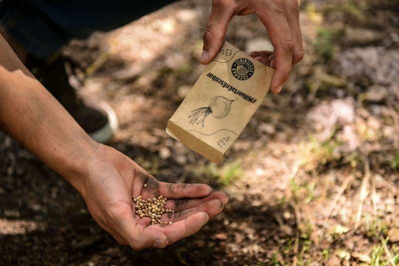 La Municipalidad de Escobar ya entregó más de 10.000 kit de semillas de verduras y hortalizas y 90.000 semillas aromáticas a vecinos y vecinas del distrito