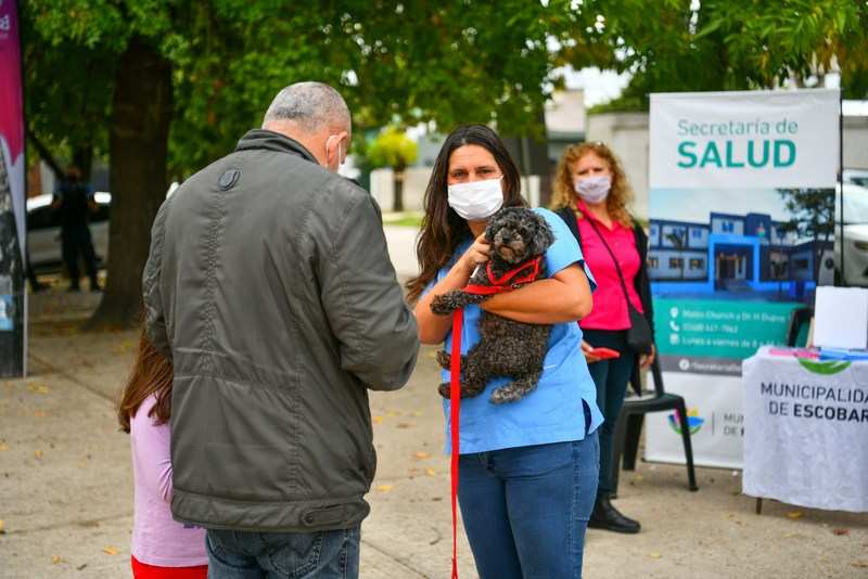 Programa ProTenencia: la Municipalidad continúa con el servicio de quirófano móvil para mascotas en distintas localidades del distrito    