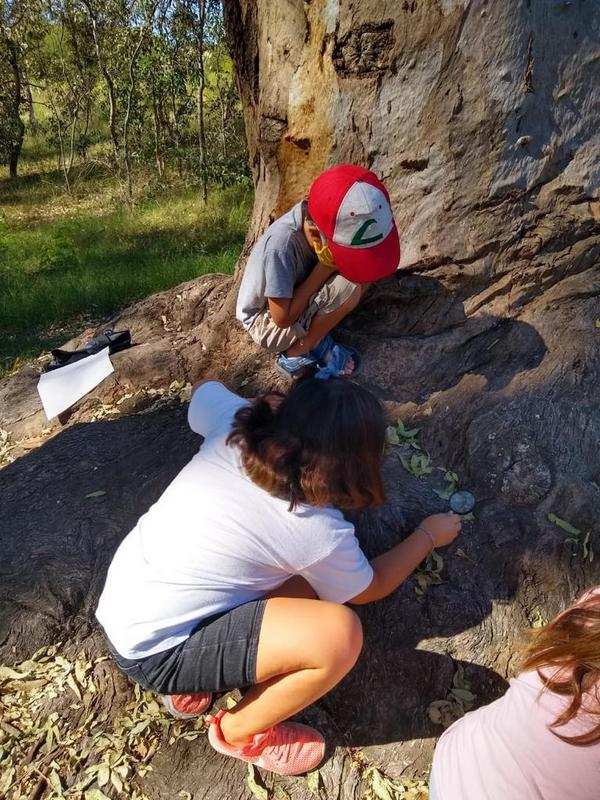 El Municipio de Escobar, organizó el primer encuentro de mini protectores ambientales en la Reserva Natural Educativa