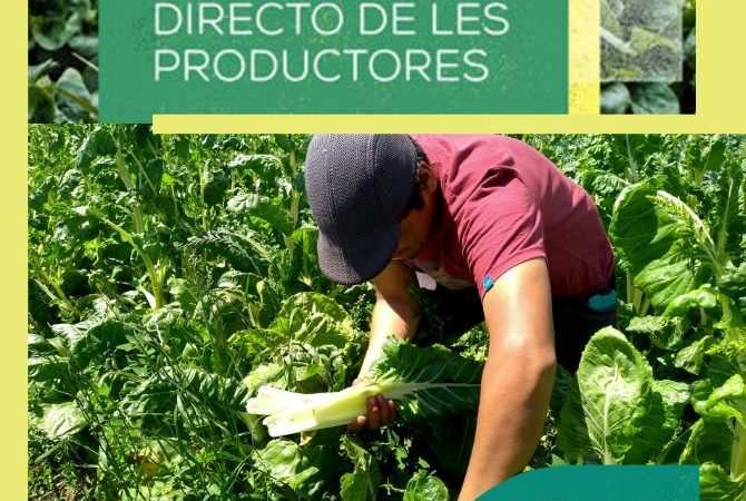 Vuelven los bolsones de verduras Agroecológicas directo de Productores a consumidores,  en la casa Popular Marielle Franco