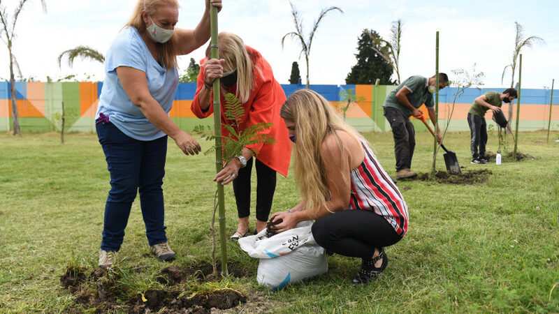 San Fernando, Rotary Club y Fundación Club de Roma plantaron 60 árboles nativos