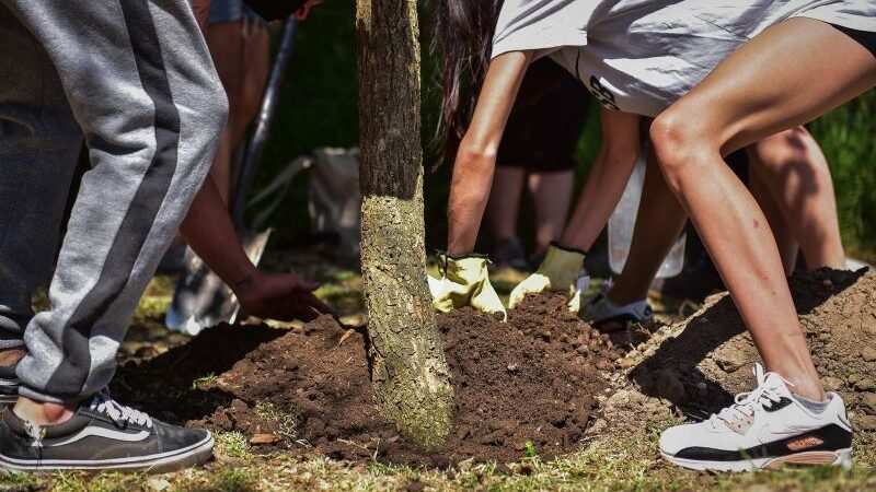 Escobar Sostenible,  los vecinos y vecinas podrán apadrinar un árbol en el marco del Plan de Arbolado Urbano “Plantando Conciencia”