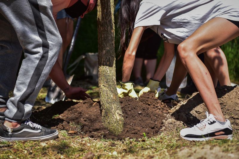 Escobar Sostenible,  los vecinos y vecinas podrán apadrinar un árbol en el marco del Plan de Arbolado Urbano “Plantando Conciencia”