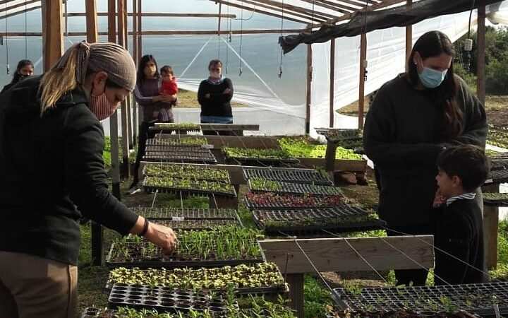 La Huerta Comunitaria Municipal sigue con su tarea Solidaria