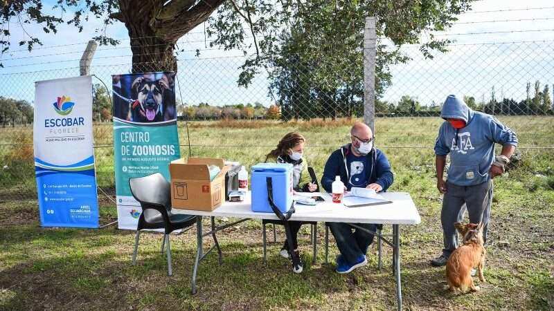 La Municipalidad de Escobar inicia la campaña anual de vacunación antirrábica para mascotas