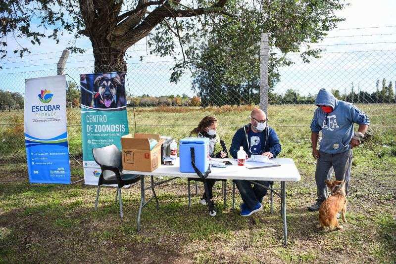 La Municipalidad de Escobar inicia la campaña anual de vacunación antirrábica para mascotas