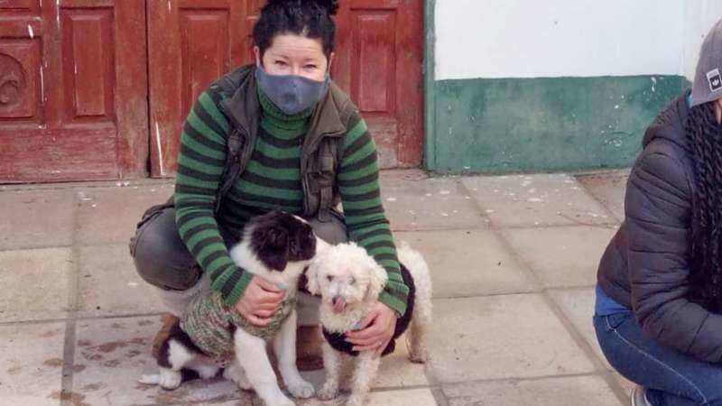 Zoonosis de San Fernando continúa realizando operativos en el Delta para la atención de mascotas