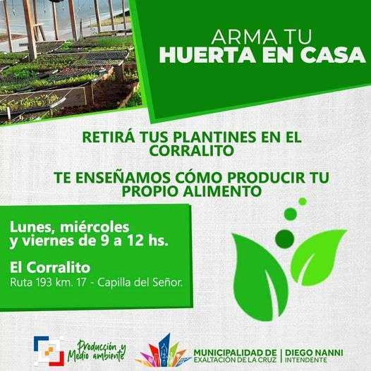 Exaltación, Plantines para armar tu Huerta