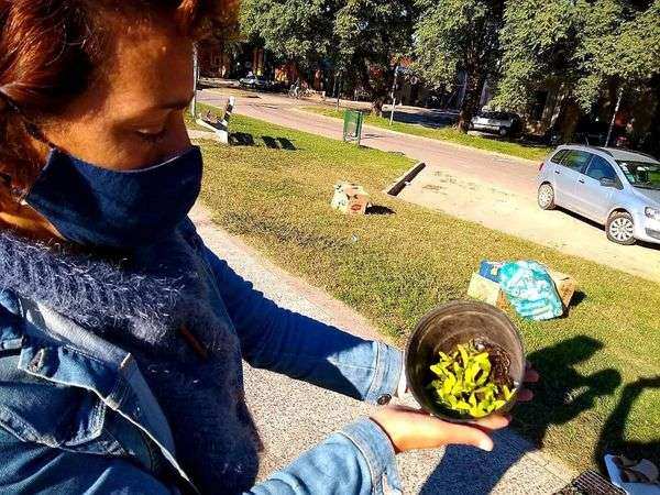 Exaltación, Ecocanje y entrega de Plantines en el Paseo de las Tipas