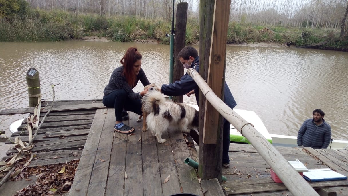 San Fernando recuerda a los vecinos la importancia de vacunar anualmente a sus mascotas contra la rabia