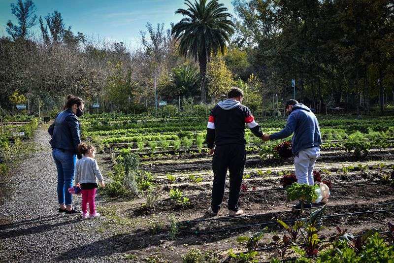 La Municipalidad lanzó una campaña para fortalecer el programa Escobar Hambre Cero desde la huerta agroecológica