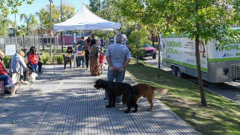 El Quirófano Móvil de Zoonosis de San Fernando cumple 7 años atendiendo en todos los barrios