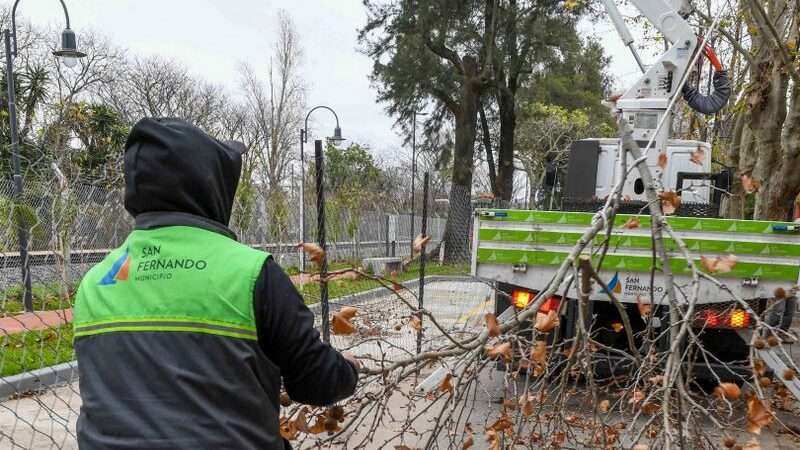 San Fernando: continúa el Plan de Poda 2021 que abarca distintos puntos de la ciudad