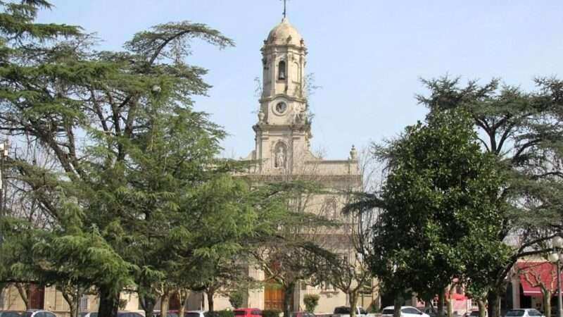 Exaltación, Tareas de Poda Selectiva sobre grandes Árboles , en Plaza San Martín