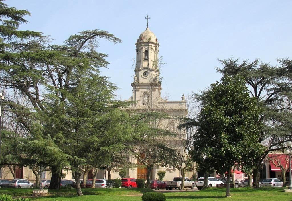 Exaltación, Tareas de Poda Selectiva sobre grandes Árboles , en Plaza San Martín