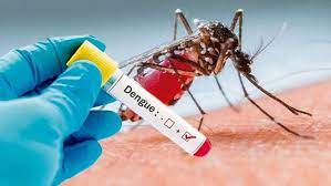 El Dengue está presente en más del 60% del territorio nacional y frenar su propagación es posible con la ayuda de la comunidad