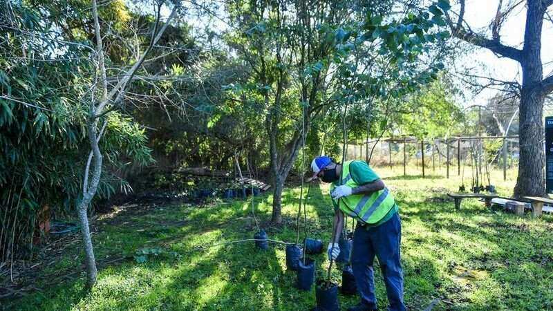 Escobar, la Municipalidad impulsa nuevas jornadas para seguir plantando árboles en todo el distrito