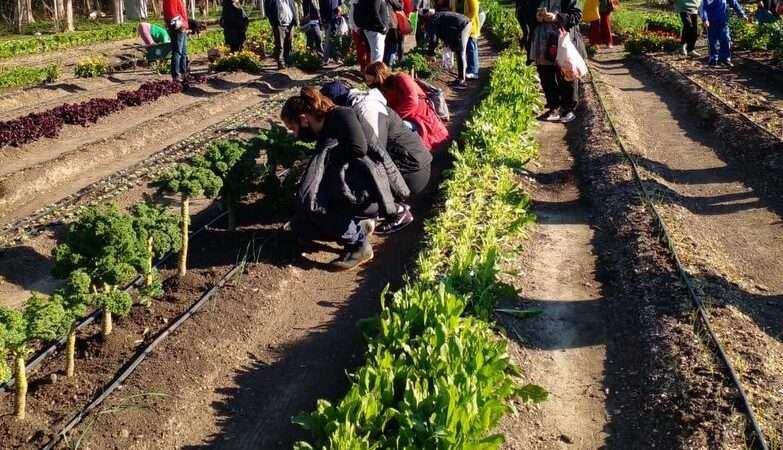 Continúa abierta la inscripción online a una nueva capacitación de Escobar Sostenible