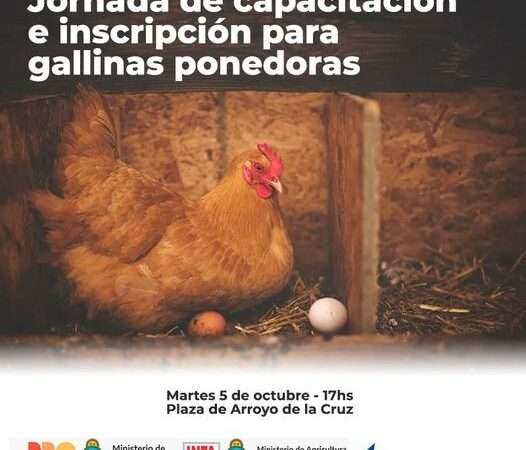 Jornada de entrega y Capacitación de Gallinas Ponedoras en Diego Gaynor