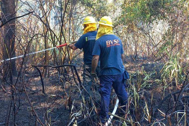 El foco de incendio en el Delta de San Fernando al momento está controlado
