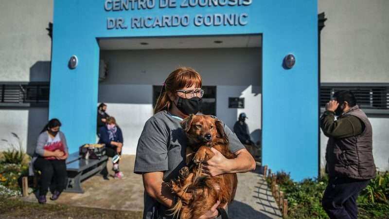 El Hospital Municipal de Zoonosis vacunó a más de 30 mil mascotas y realizó 8.500 castraciones en 2021