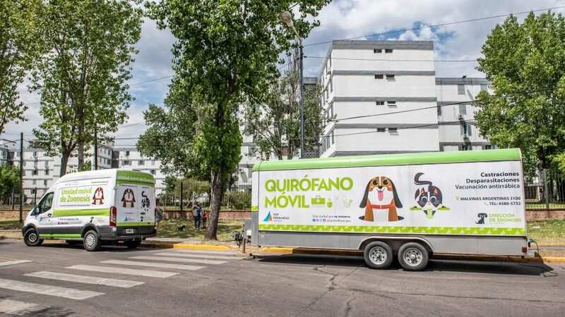 Zoonosis de San Fernando castró más de 8.000 perros y gatos en el último año