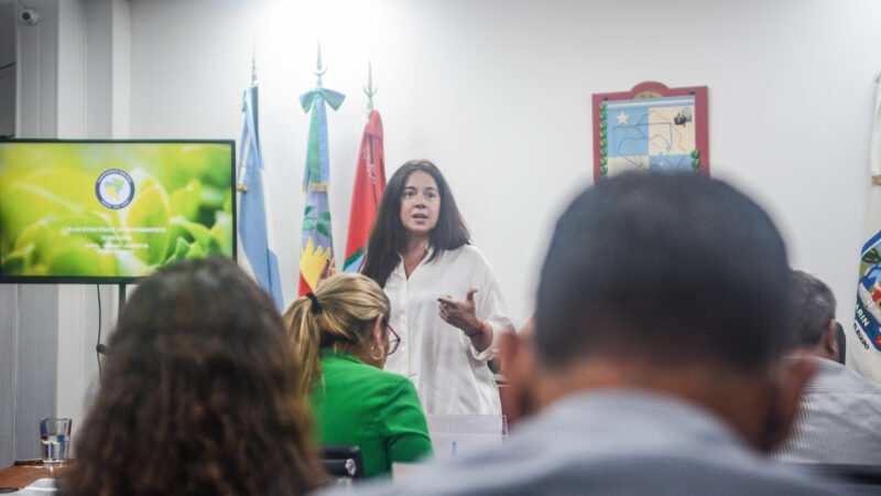 Se realizó la presentación del Plan Estratégico Territorial