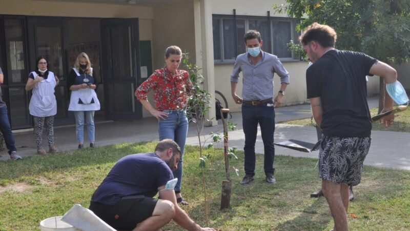 Se plantaron árboles nativos a partir del Programa: “Reforestando – Educación – Exaltación”