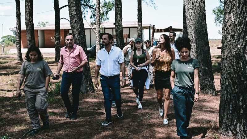 En Corrientes, tras los incendios forestales, se implementará el modelo del programa municipal “Biocorredores” para la restauración de Esteros del Iberá