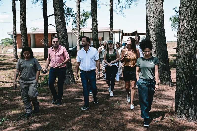En Corrientes, tras los incendios forestales, se implementará el modelo del programa municipal “Biocorredores” para la restauración de Esteros del Iberá