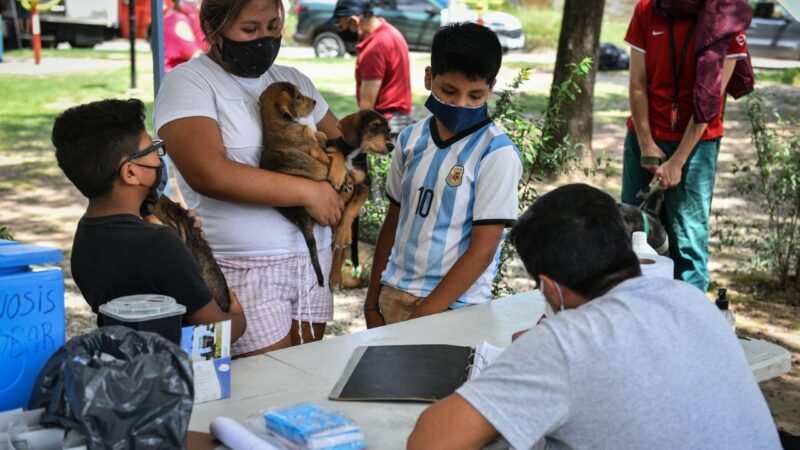 La Municipalidad de Escobar inicia la campaña anual de vacunación antirrábica para mascotas