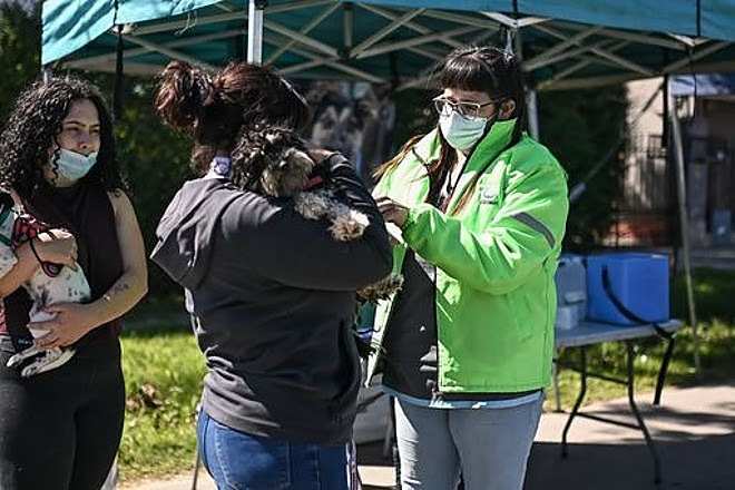 Zoonosis Escobar: continúa la campaña de vacunación antirrábica para mascotas en Ingeniero Maschwitz, Garín y Belén de Escobar 