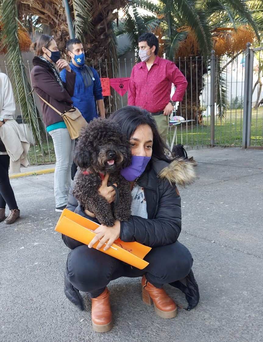 Día del Animal , una oportunidad para generar conciencia