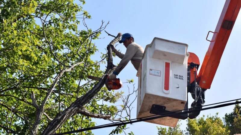 El Municipio de Hurlingham presentó el nuevo programa de poda