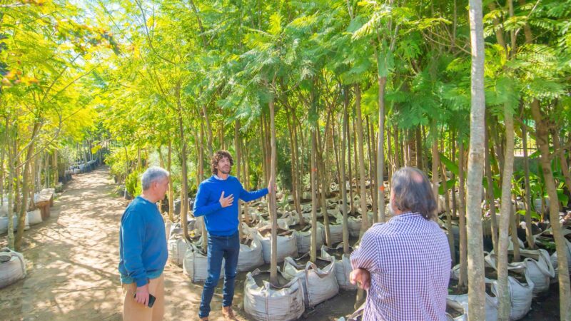Juan Andreotti presentó las especies de árboles que se plantarán en San Fernando  