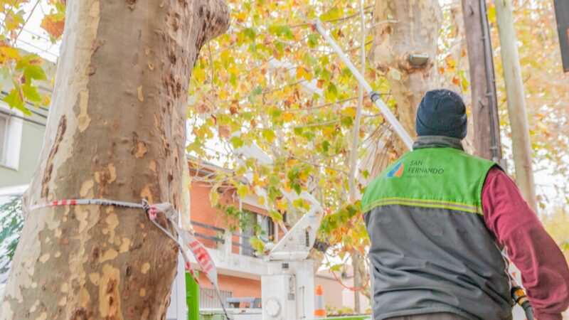 Continúan los operativos de poda correctiva en San Fernando