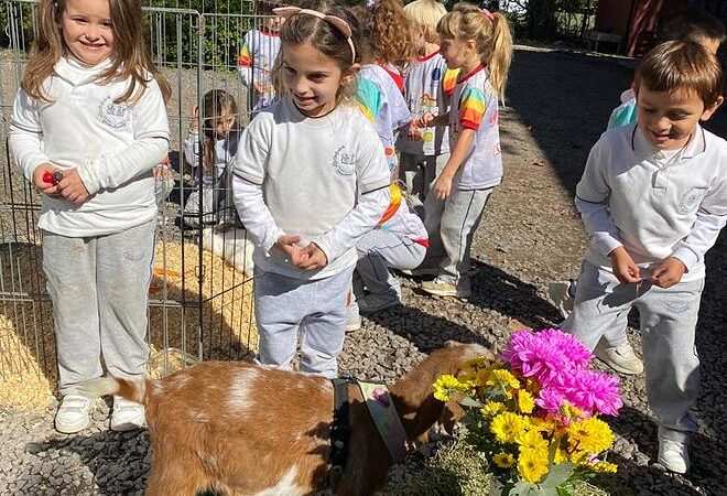 Comenzó el Programa Municipal “La Granja en mi Escuela”